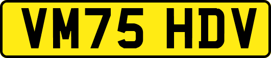 VM75HDV