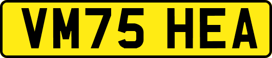 VM75HEA