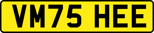 VM75HEE