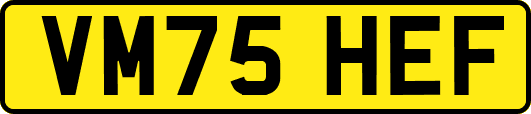 VM75HEF