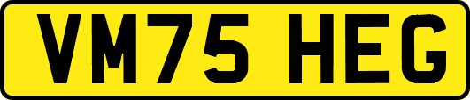VM75HEG