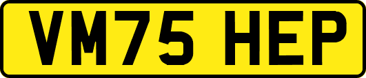 VM75HEP