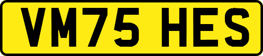 VM75HES