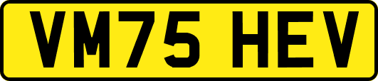 VM75HEV
