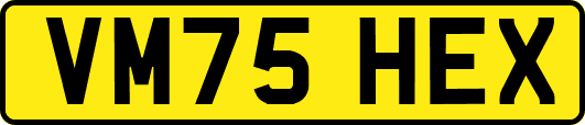 VM75HEX