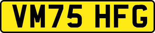 VM75HFG