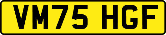 VM75HGF