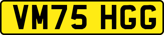 VM75HGG