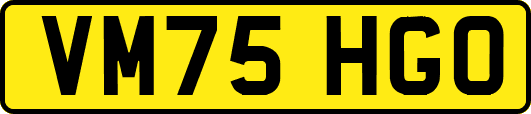 VM75HGO