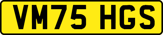 VM75HGS