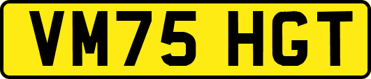 VM75HGT