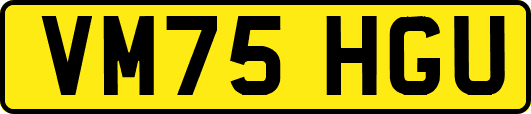 VM75HGU