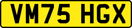 VM75HGX