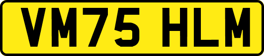 VM75HLM