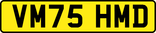 VM75HMD