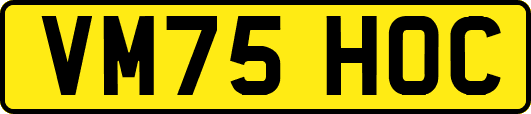 VM75HOC