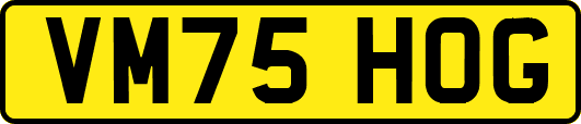 VM75HOG