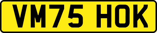 VM75HOK