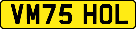 VM75HOL