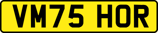 VM75HOR