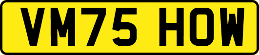 VM75HOW