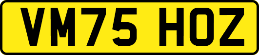 VM75HOZ