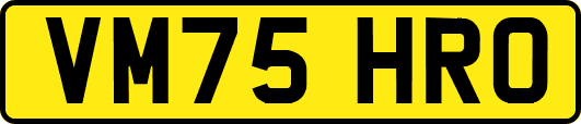VM75HRO