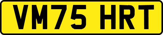 VM75HRT