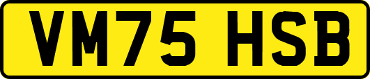 VM75HSB