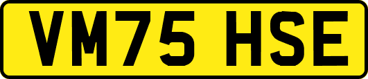 VM75HSE