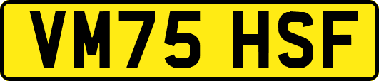 VM75HSF
