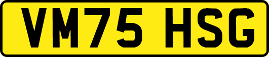 VM75HSG