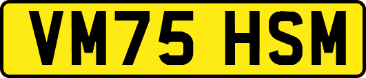 VM75HSM