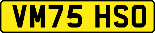 VM75HSO