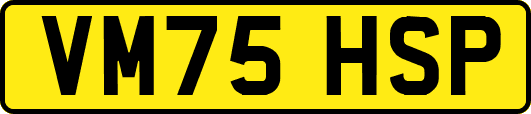 VM75HSP