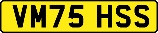 VM75HSS