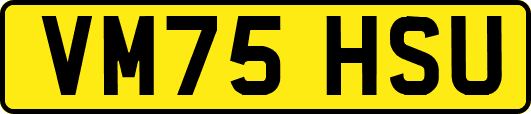 VM75HSU