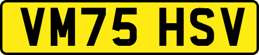 VM75HSV