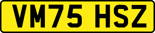 VM75HSZ