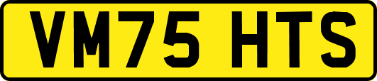 VM75HTS