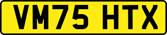 VM75HTX