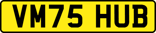 VM75HUB
