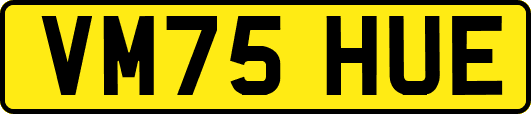 VM75HUE