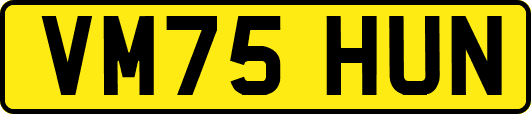 VM75HUN