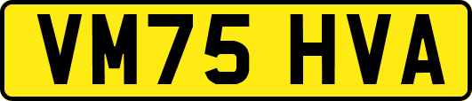 VM75HVA
