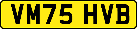 VM75HVB