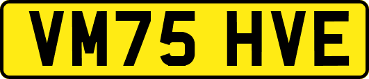 VM75HVE