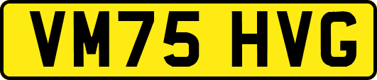VM75HVG