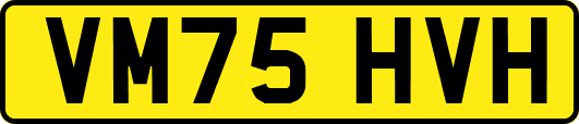 VM75HVH