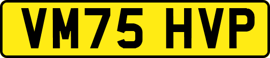 VM75HVP